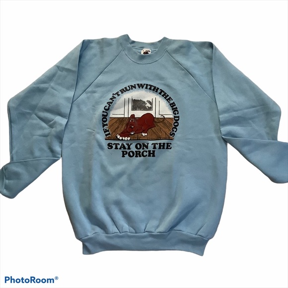 Fruit of the Loom Sweaters - Graphic Light Blue Sweater